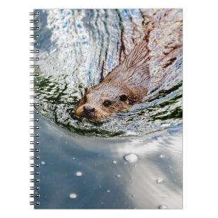 CUTE SEAL SWIMMING NOTEBOOK