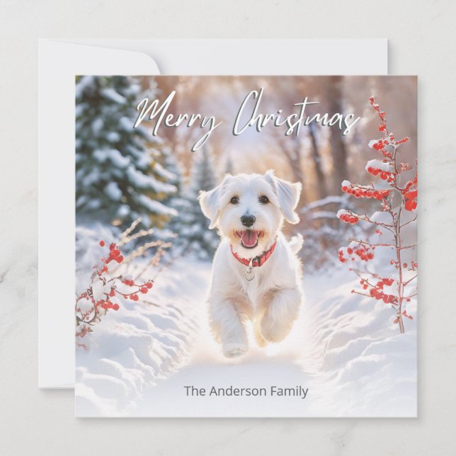 Cute Sealyham Terrier Dog In Snow Merry Christmas Holiday Card (Front)