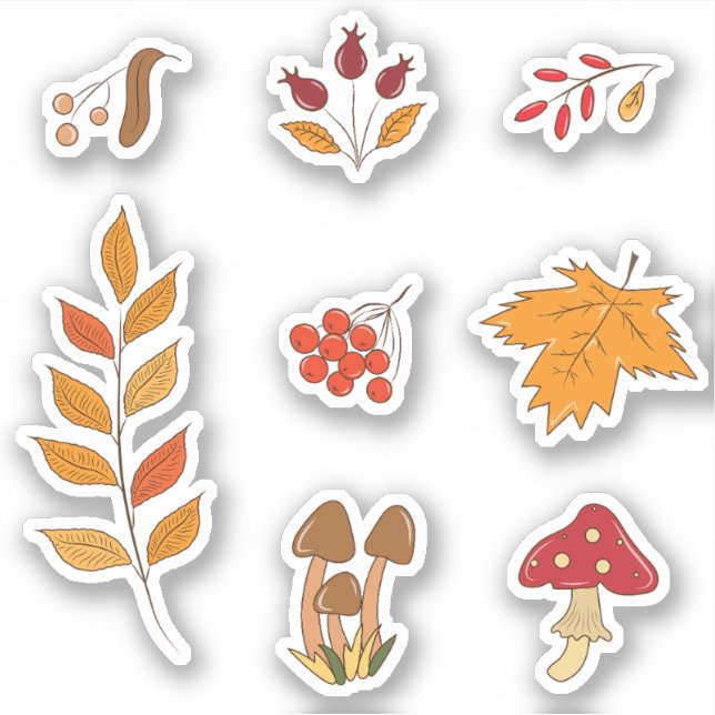 Cute set of autumn plants and leaves stickers (Front)