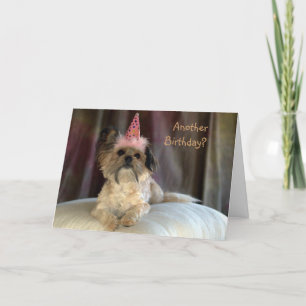 Cute Shaggy Dog Birthday Card