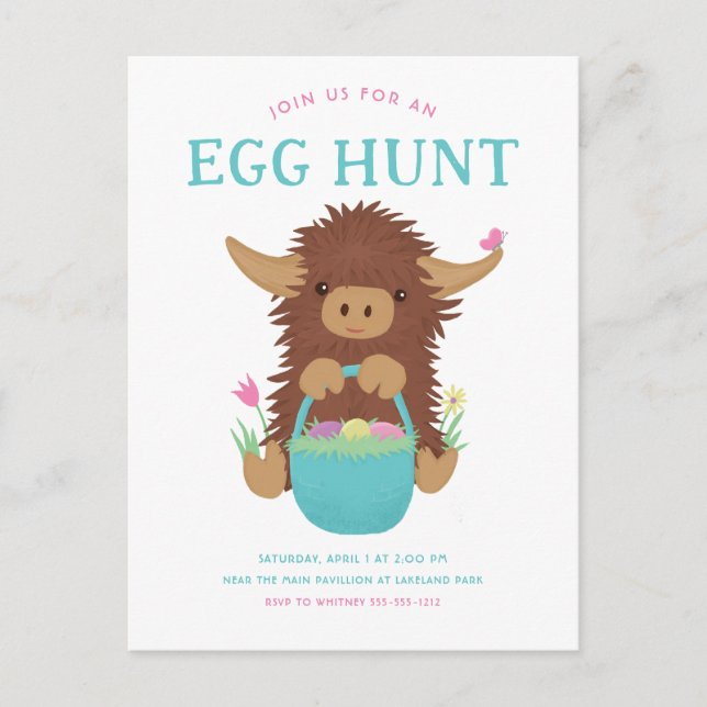 Cute, shaggy Highland cow Easter basket design Postcard (Front)
