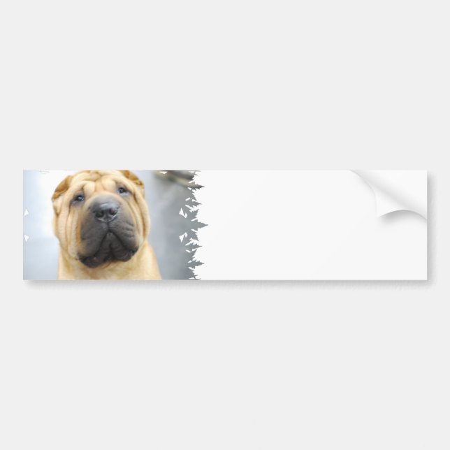 Cute Shar Pei Bumper Sticker (Front)