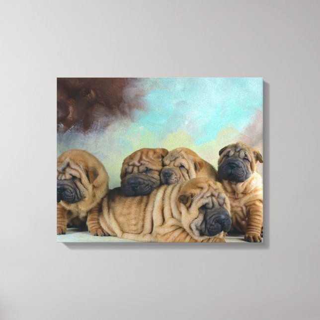 Cute Shar pei puppies Canvas Print (Front)
