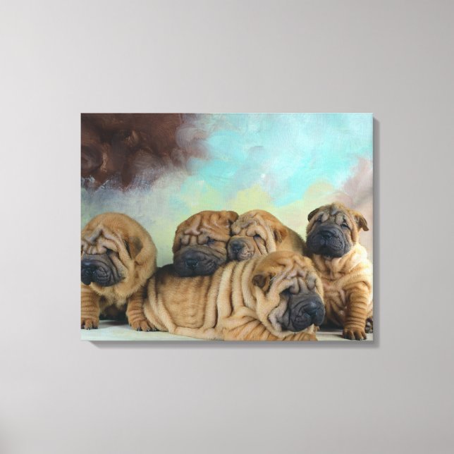 Cute Shar pei puppies Canvas Print (Front)