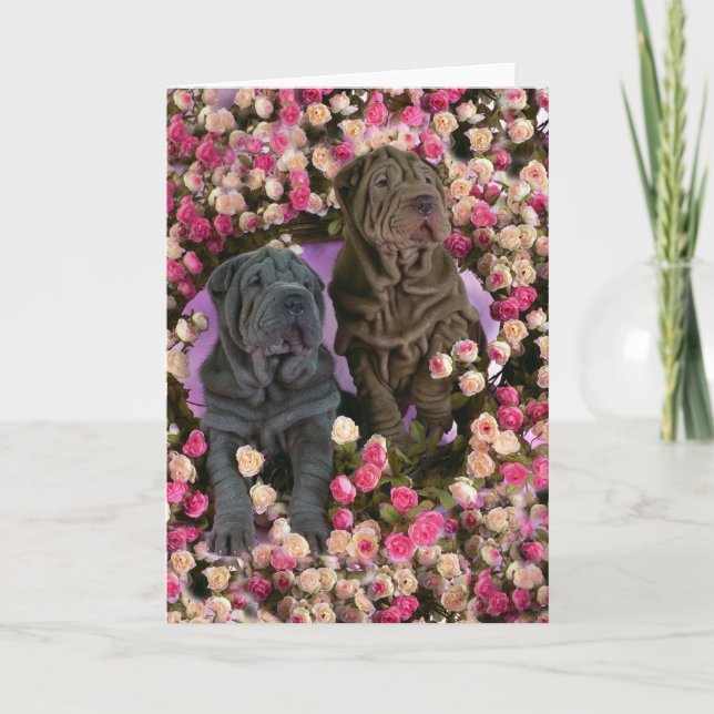 Cute Shar pei puppies in a bed of roses Holiday Card (Front)
