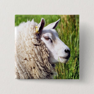 CUTE SHEEP 15 CM SQUARE BADGE