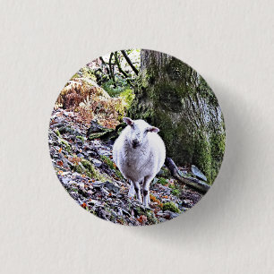 CUTE SHEEP 3 CM ROUND BADGE