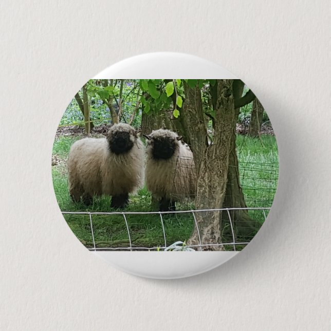 Cute Sheep 6 Cm Round Badge (Front)