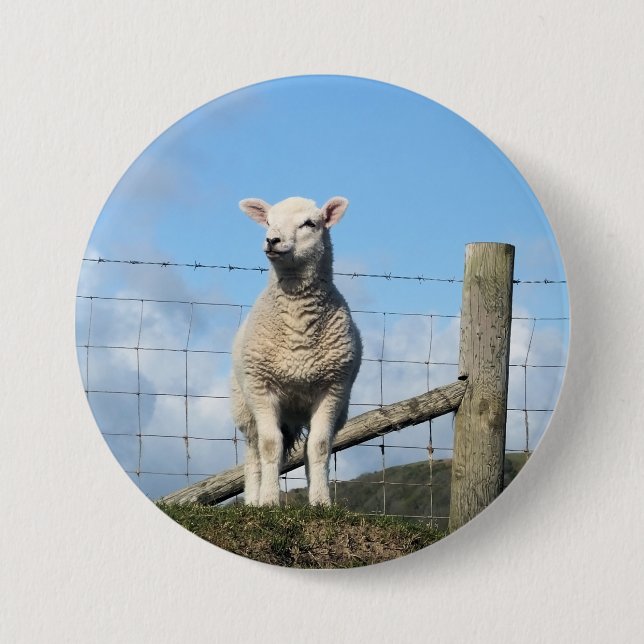CUTE SHEEP 7.5 CM ROUND BADGE (Front)