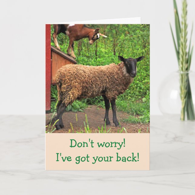 Cute Sheep And Goat Get Well Card (Front)
