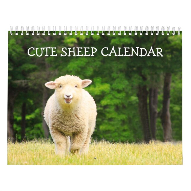 Cute Sheep Calendar (Cover)