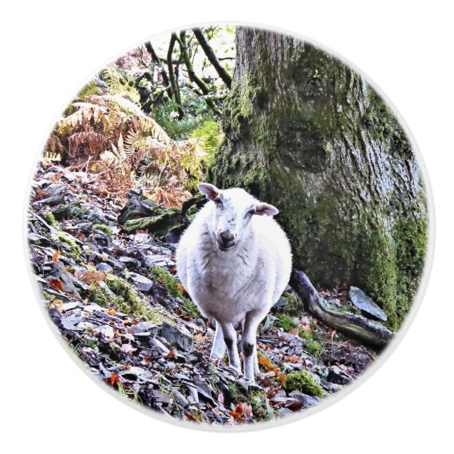 CUTE SHEEP CERAMIC KNOB (Front)