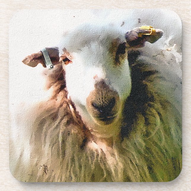 CUTE SHEEP COASTER (Front)
