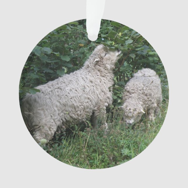 Cute Sheep Eating Leaves Acrylic Ornament (Front)