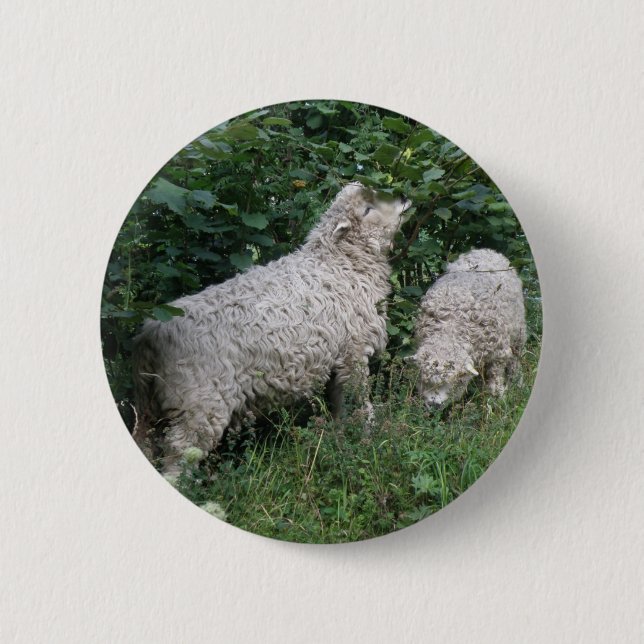 Cute Sheep Eating Leaves Button (Front)