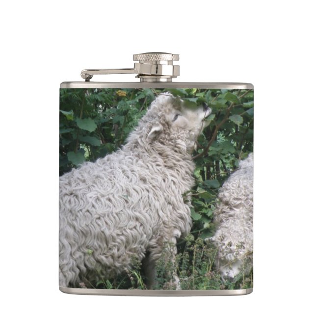 Cute Sheep Eating Leaves Flask (Front)