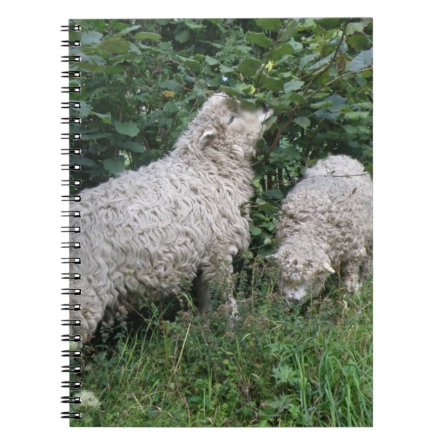 Cute Sheep Eating Leaves Notebook (Front)
