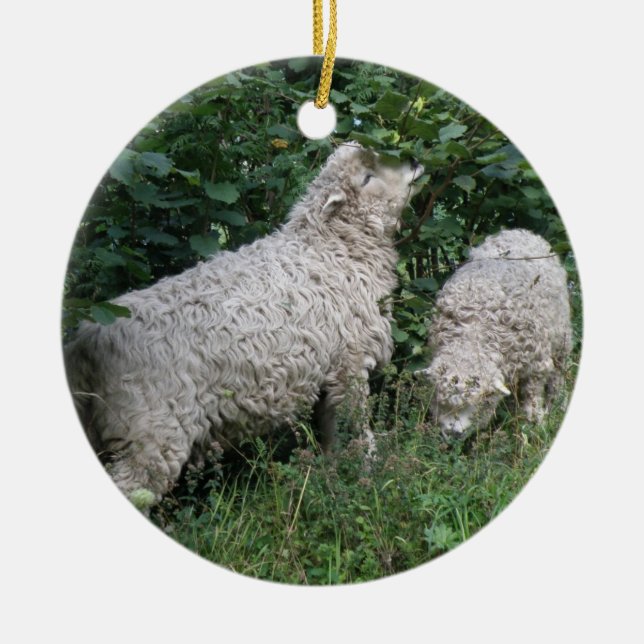 Cute Sheep Eating Leaves Ornament (Front)