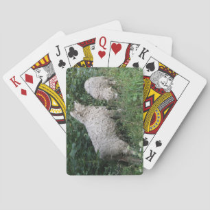 Cute Sheep Eating Leaves Playing cards