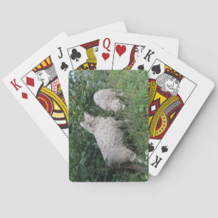 Cute Sheep Eating Leaves Playing Cards