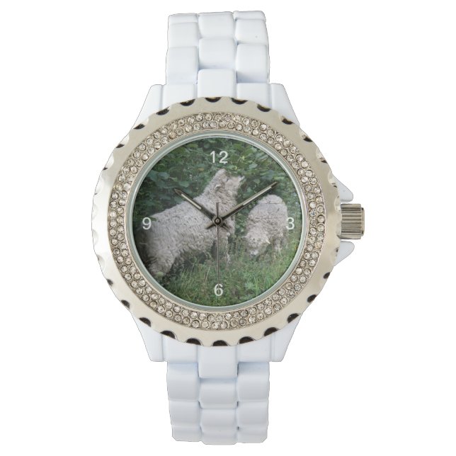 Cute Sheep Eating Leaves Rhinestone Watch (Front)