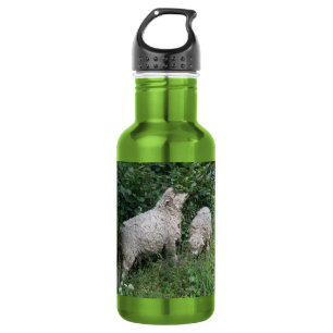 Cute Sheep Eating Leaves Water Bottle