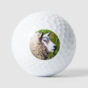 CUTE SHEEP GOLF BALLS