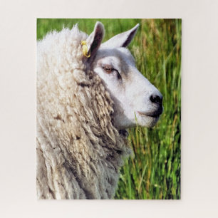 CUTE SHEEP JIGSAW PUZZLE