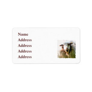 CUTE SHEEP LABEL