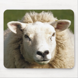 CUTE SHEEP MOUSE MAT