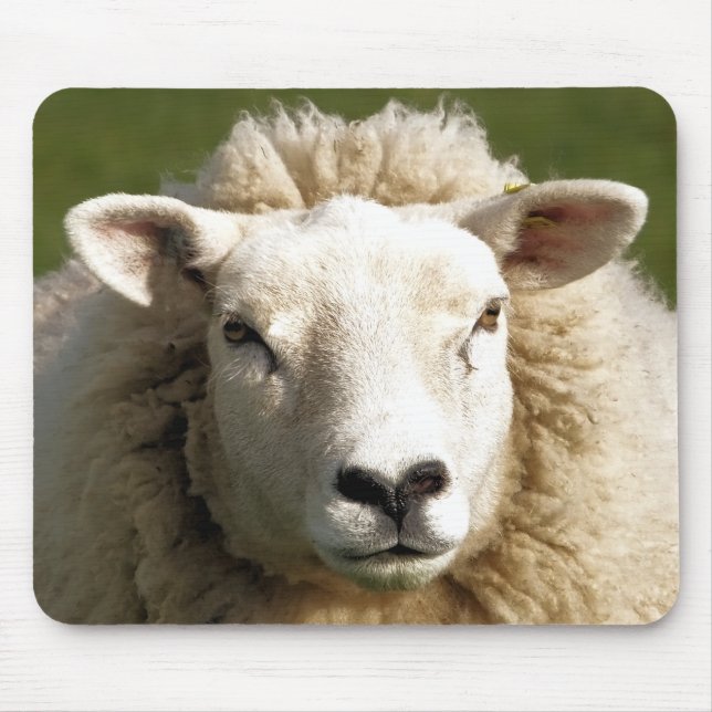 CUTE SHEEP MOUSE MAT (Front)