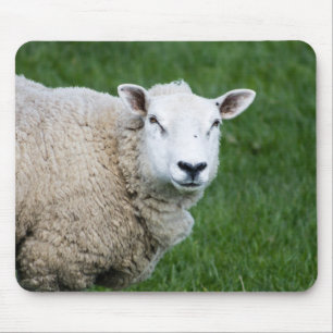 Cute Sheep Mouse Mat