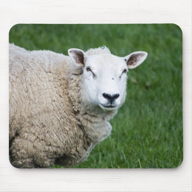 Cute Sheep Mouse Mat (Front)