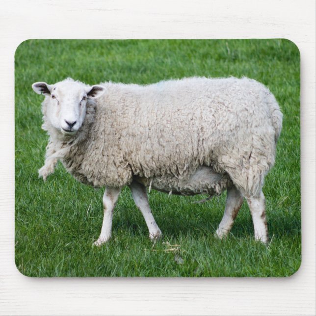 Cute Sheep Mouse Mat (Front)