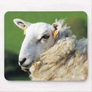 CUTE SHEEP MOUSE MAT