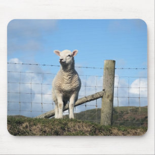 CUTE SHEEP MOUSE MAT