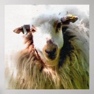 CUTE SHEEP POSTER