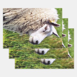 CUTE SHEEP WRAPPING PAPER SHEET