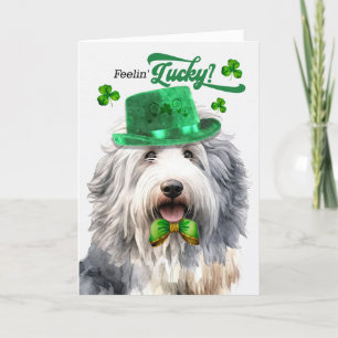 Cute Sheepdog Feelin' Lucky St Patrick's Day Holiday Card