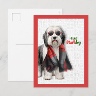 Cute Sheepdog Funny Fleas Navidog Christmas Holiday Postcard