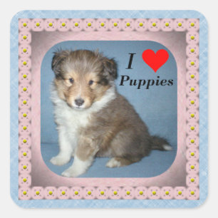 Cute Shetland Sheepdog Puppy Dog Stickers