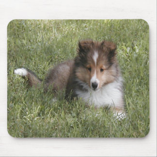 Cute Shetland Sheepdog puppy lying in grass Mouse Mat