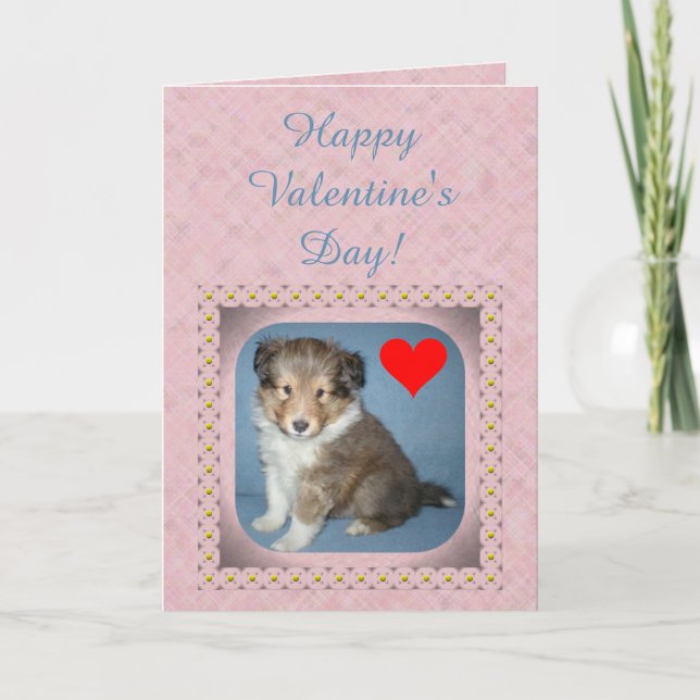 Cute Shetland Sheepdog Puppy Valentine's Day Card (Front)