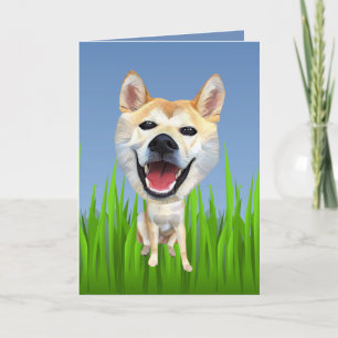Cute Shiba Inu Dog Greeting Card