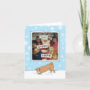 Cute Shiba Inu Winter Holiday Photo Template