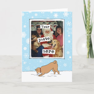 Cute Shiba Inu Winter Snow   Your Photo Christmas Holiday Card