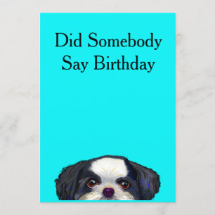Cute Shih Tzu Dog Birthday Card
