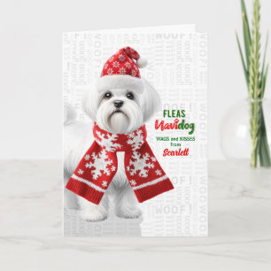 Cute Shih Tzu Dog Funny Fleas Navidog with Name Holiday Card