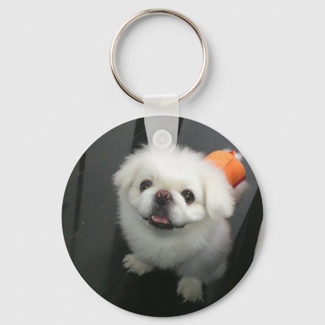 Cute shih tzu looking at the camera key ring (Front)