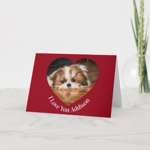 Cute shih tzu love Valentine heart photo Card